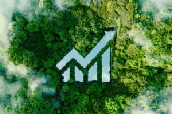 万腾Vatee 2025.4.17外汇市场分析报告